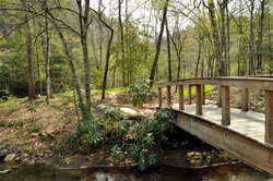 Bridge over Taylor Creek